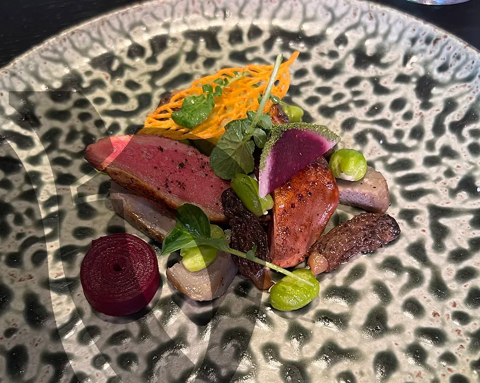 Gerecht met duif, biet en krokante garnituur